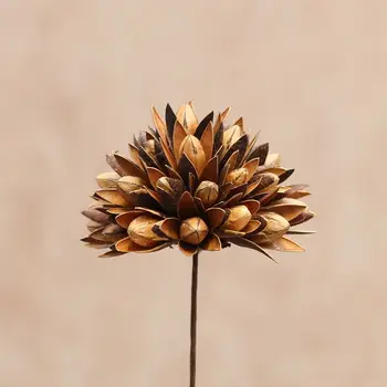 1PCS Ručne vyrábané Suché Hnedé Kvety Magnólie Originálnych Jade Sušených Kvetov Kvetinový Aranžmán Kreatívne Svadobné Dekorácie